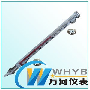 防腐磁翻板液位計